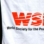 Fabric Banner X1