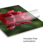 Vinyl Adhesive Printing 2
